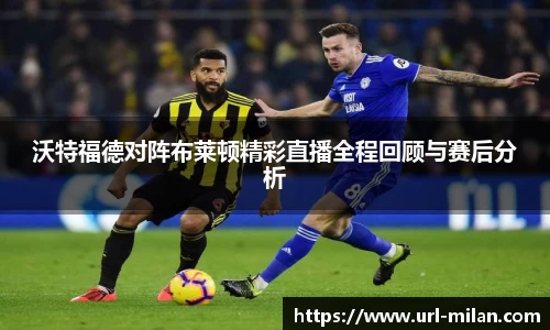 沃特福德对阵布莱顿精彩直播全程回顾与赛后分析